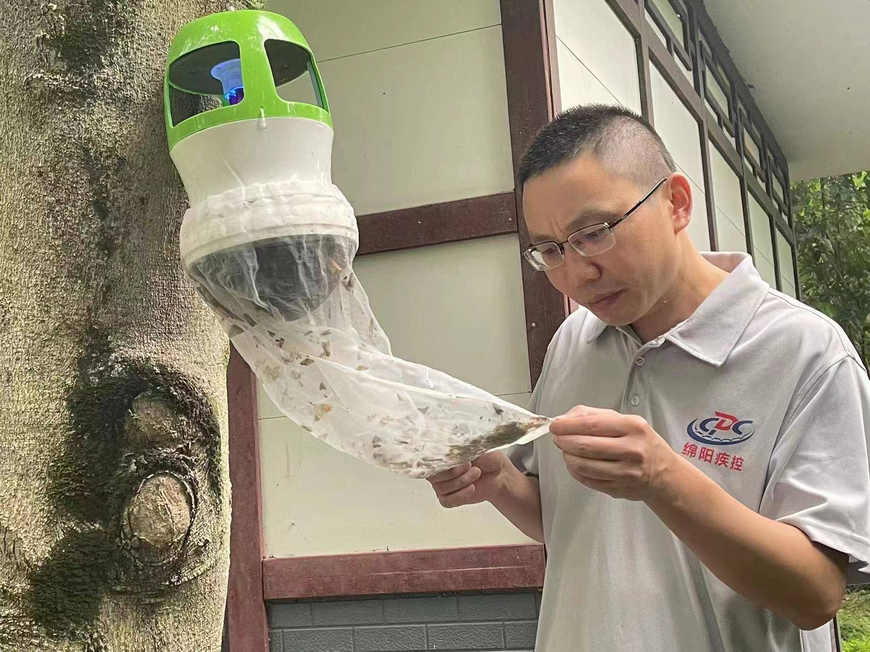 本月蚊蝇密度上升！小蚊子能致命，“登革热”怎么防？插图8