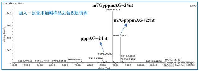 mRNA加帽率检测分析服务