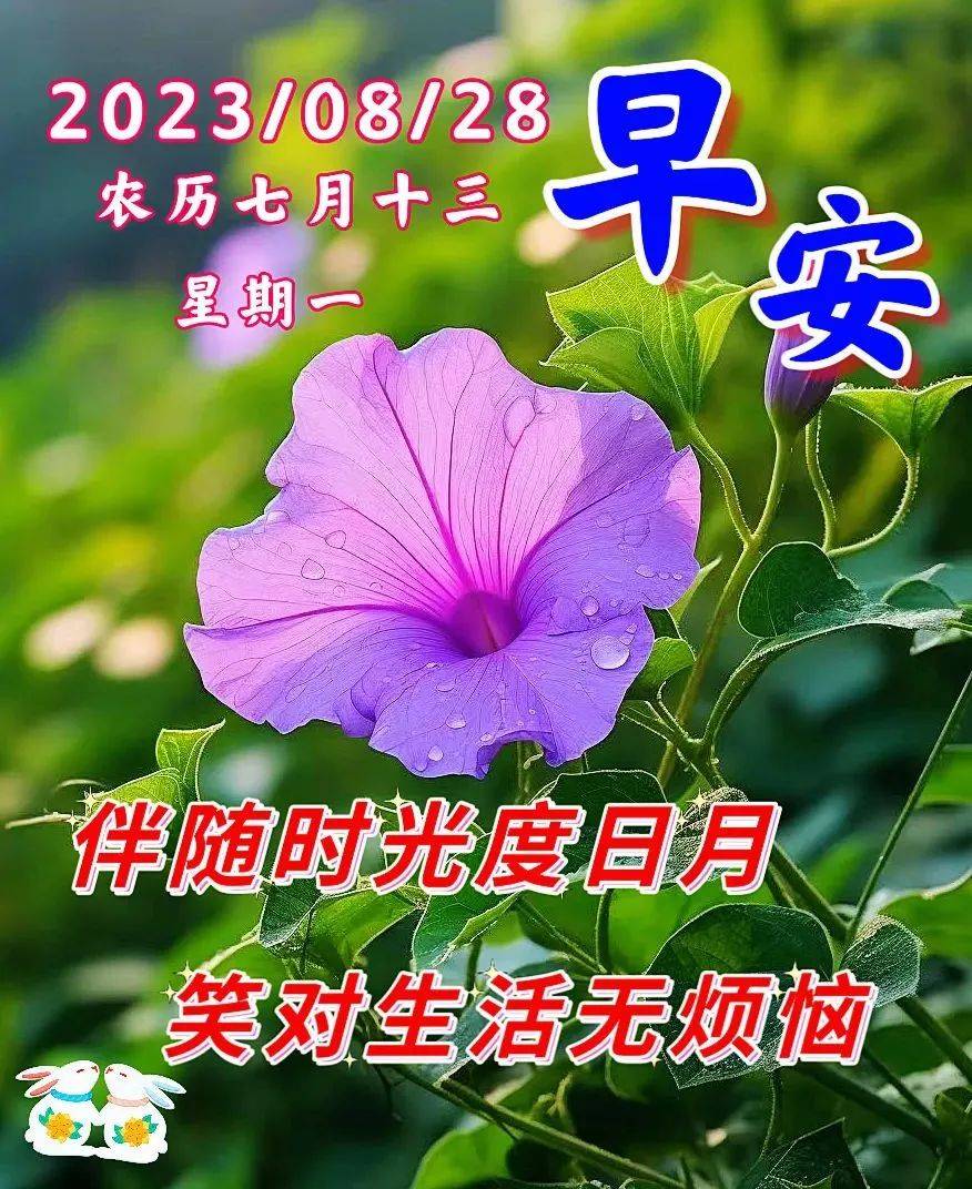 8月28日周一早上好,精选早安创意祝福图片带字表情包问候语录大全