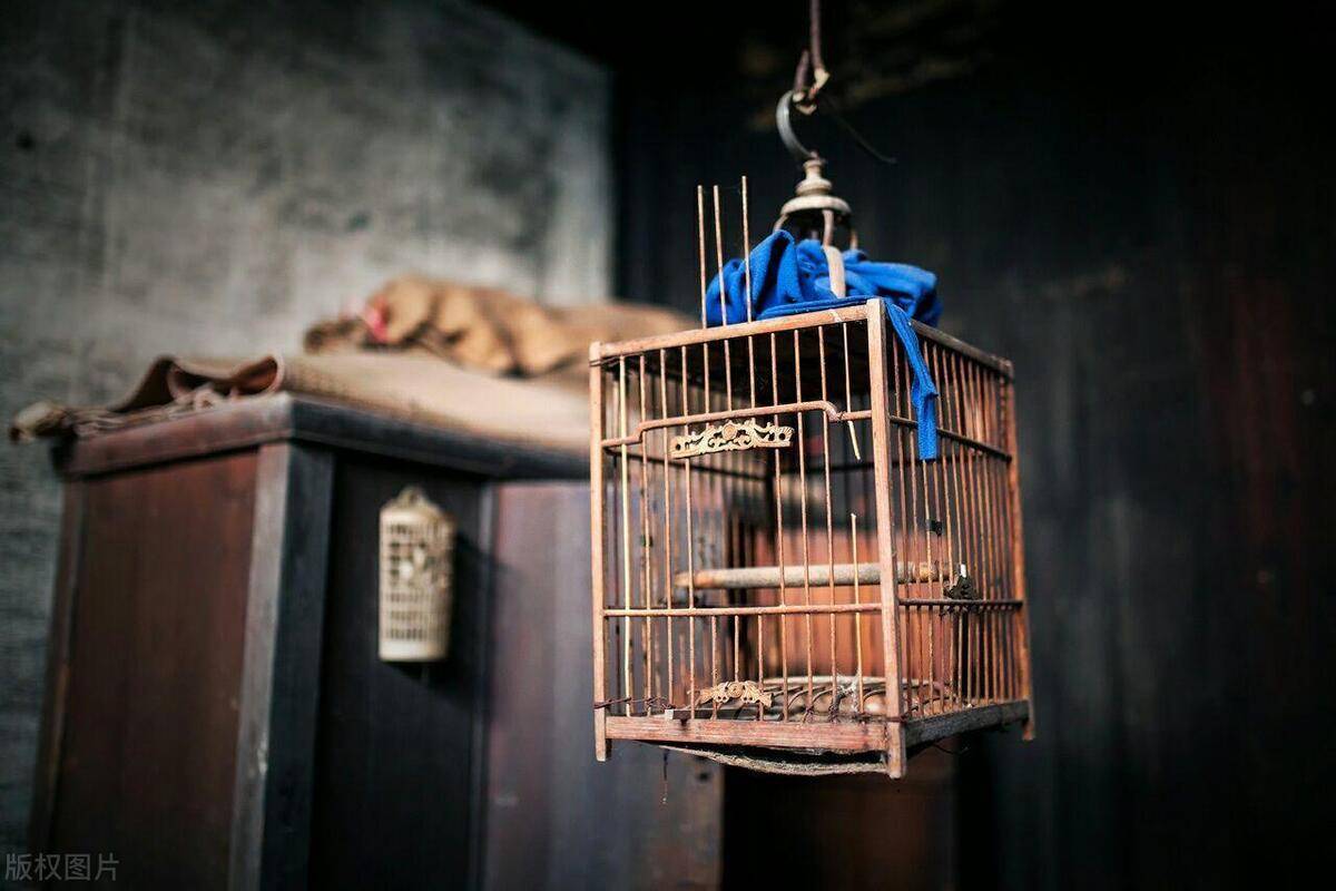 胶东非遗文化:青岛即墨大欧鸟笼制作工艺_网络_平台_生产