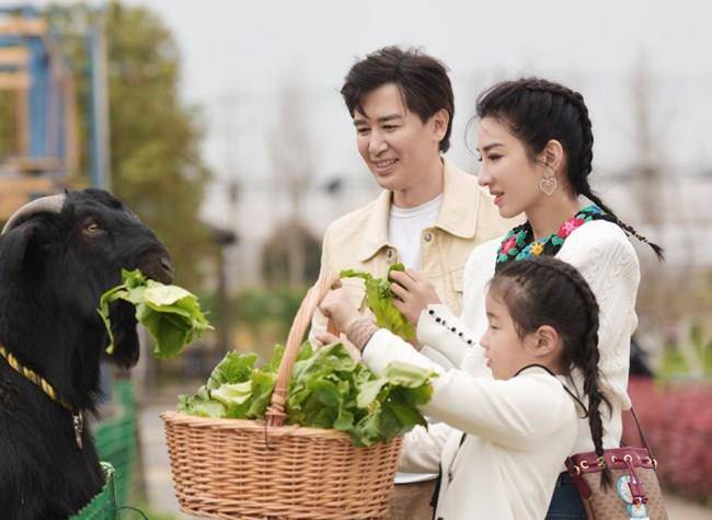 黄奕与崔伟分手了?为了女儿不愿再结婚!