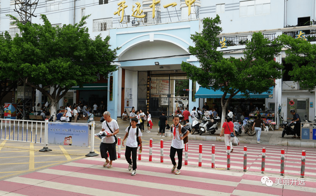 开远实验中学校花图片