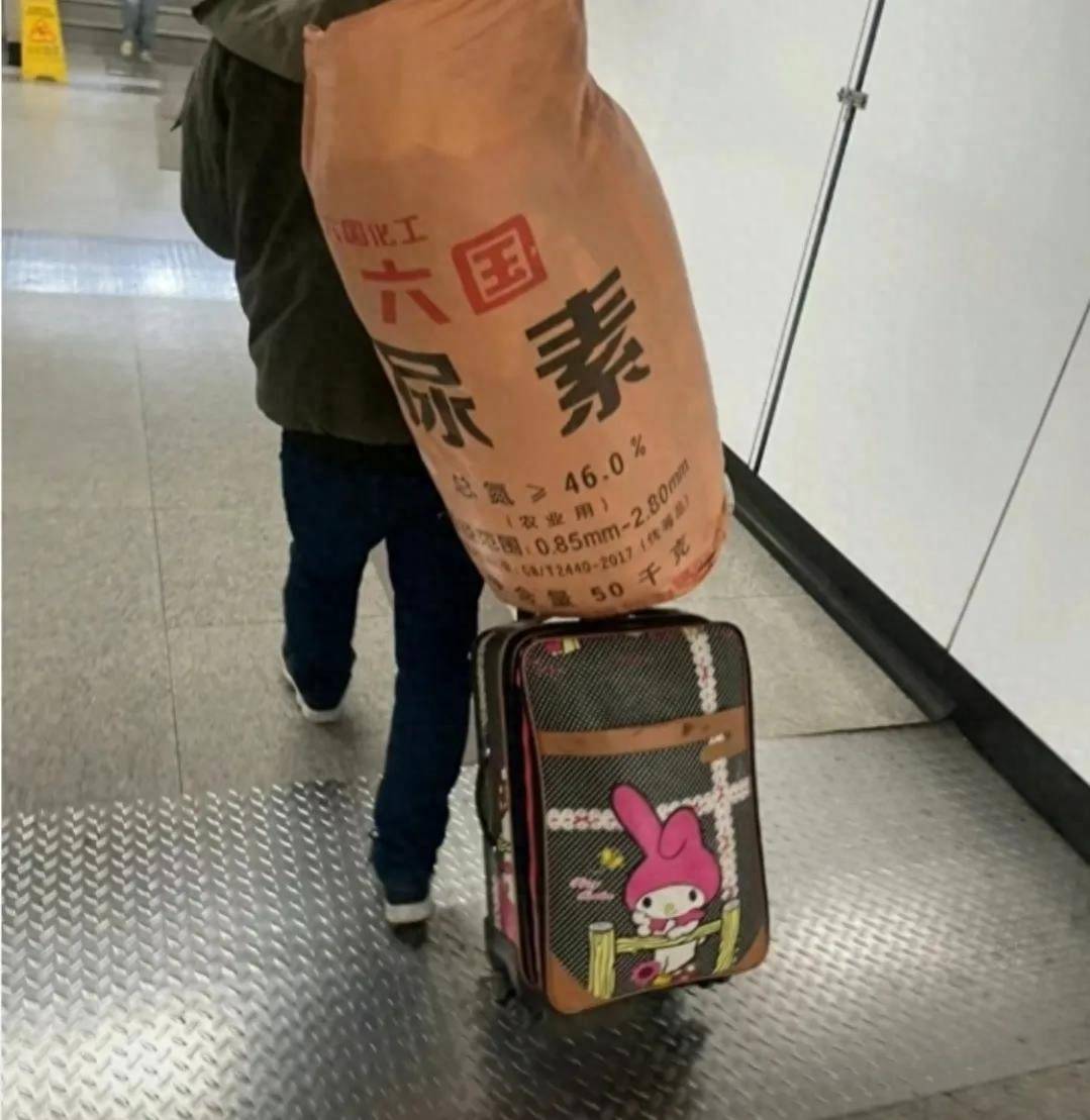 大一新生入学,他们是把家都搬来了吧_史丹利_背包_行李