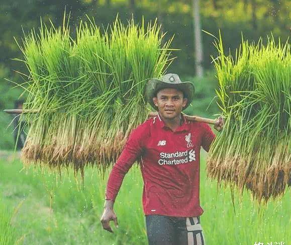 播求插眼善猜!两大泰拳传奇开打_比赛_获得了_手指