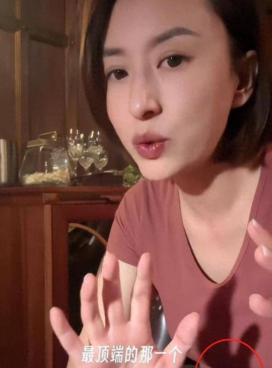 央视张蕾疑去非洲发展,小腹微隆似怀孕,网友公开点名尼格买提_离开