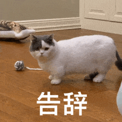 240_240gif 动态图 动图