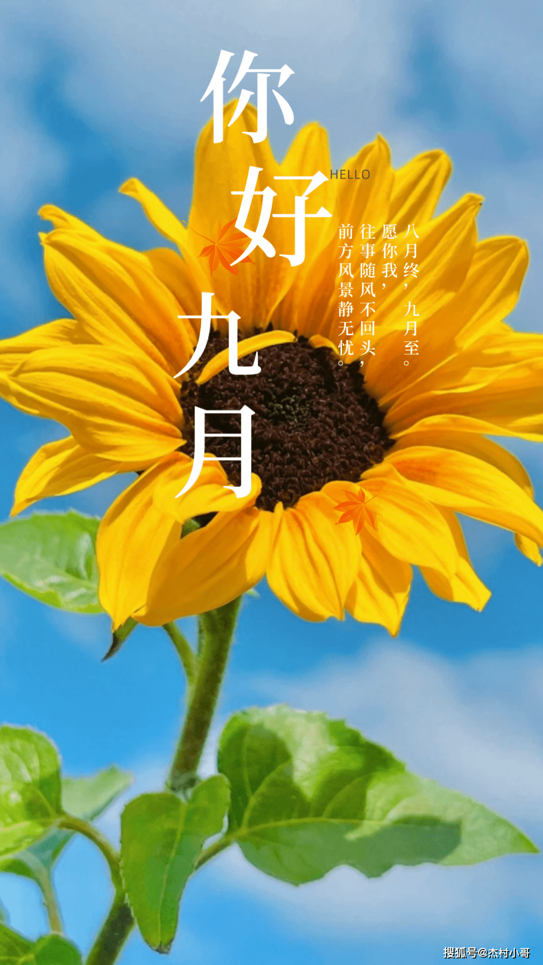 12条朋友圈正能量祝福文案