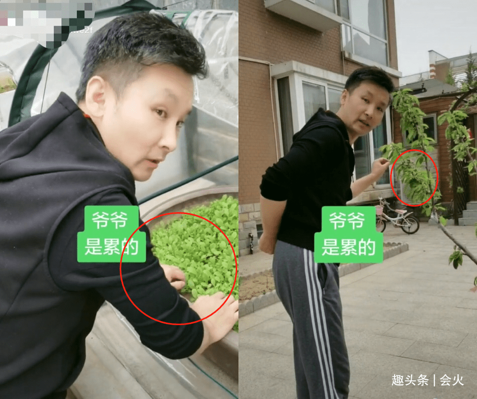 刘和刚一家四口罕同框,豪宅红木装修显奢华,内置电梯阔气十足_视频