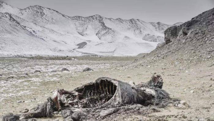 昆仑山为何被誉为万山之祖?常年重兵把守,是发生过什么怪事吗?