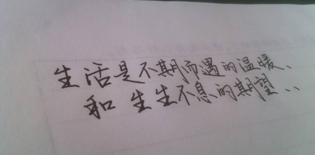 森清新优美的句子，简短而真诚，让人感觉清晰多了