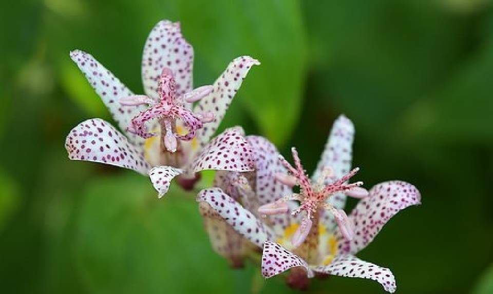 简短又优美的句子，每句话都有内涵，很适合发朋友圈