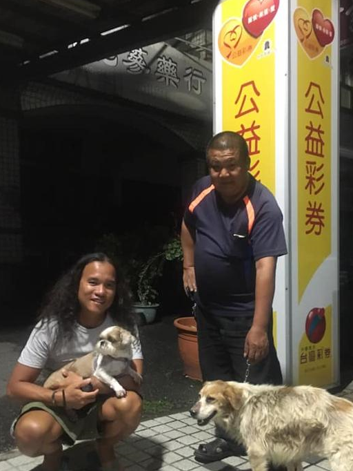 流浪狗误闯马路，好心人停车救狗狗，后面一排车静静等待获赞 