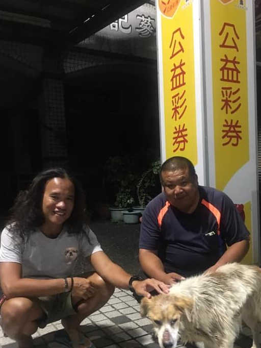 流浪狗误闯马路，好心人停车救狗狗，后面一排车静静等待获赞 