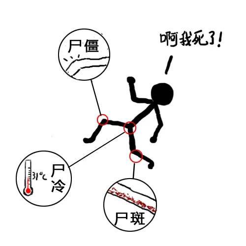 阿伟我怪受宠若惊的获得了不少在看和点赞上期的即时死亡小科普科普火