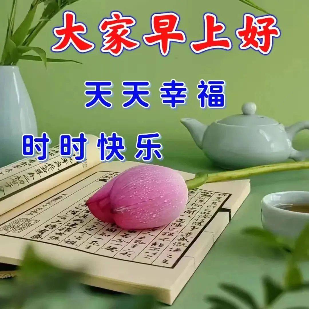 9月6日周三早上好,精选早安创意祝福图片带字表情包问候语录大全