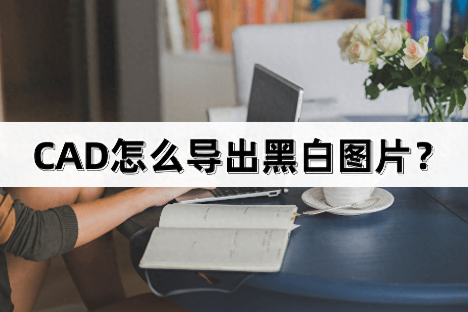 cad导出jpg图片黑白图片