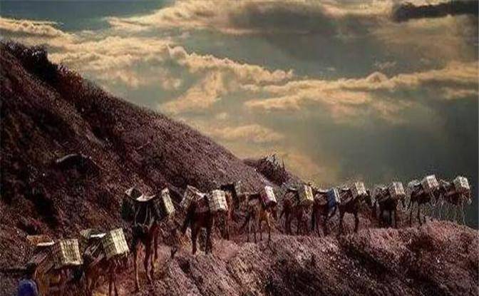 明朝"茶马互市"的管理制度_的贸易_古道_西藏