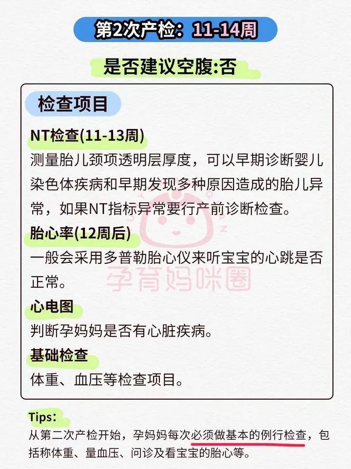 nt检查报告单参照图图片