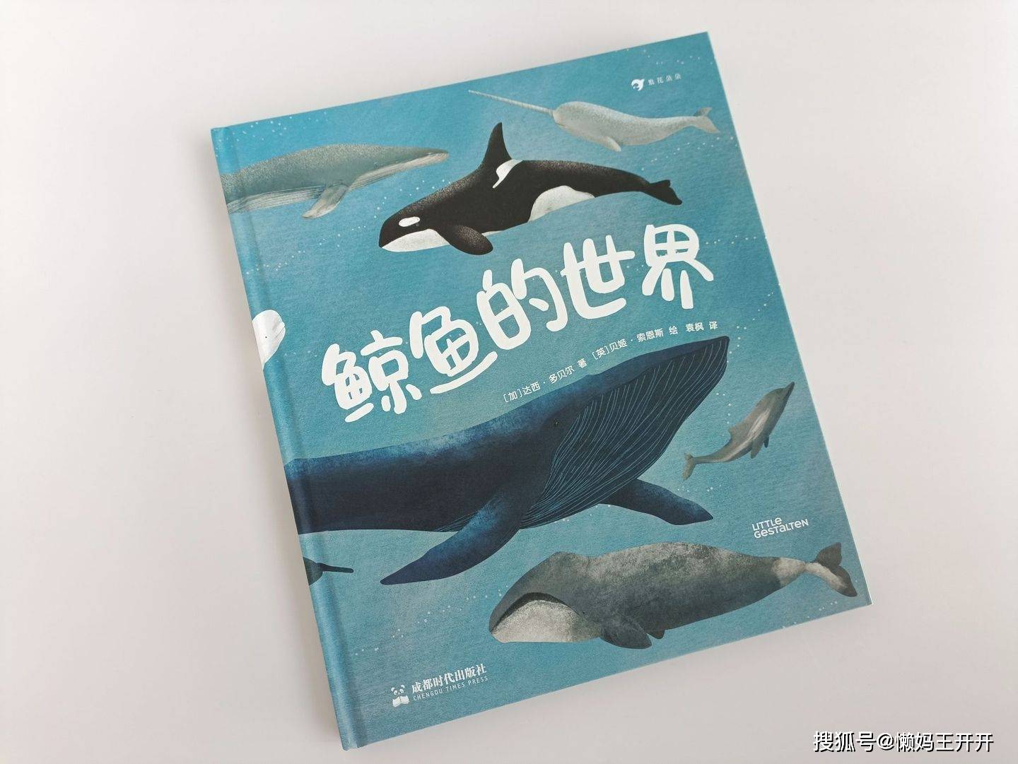 兼具知识性和艺术性的高颜值科普绘本——《鲸鱼的世界》_搜狐网