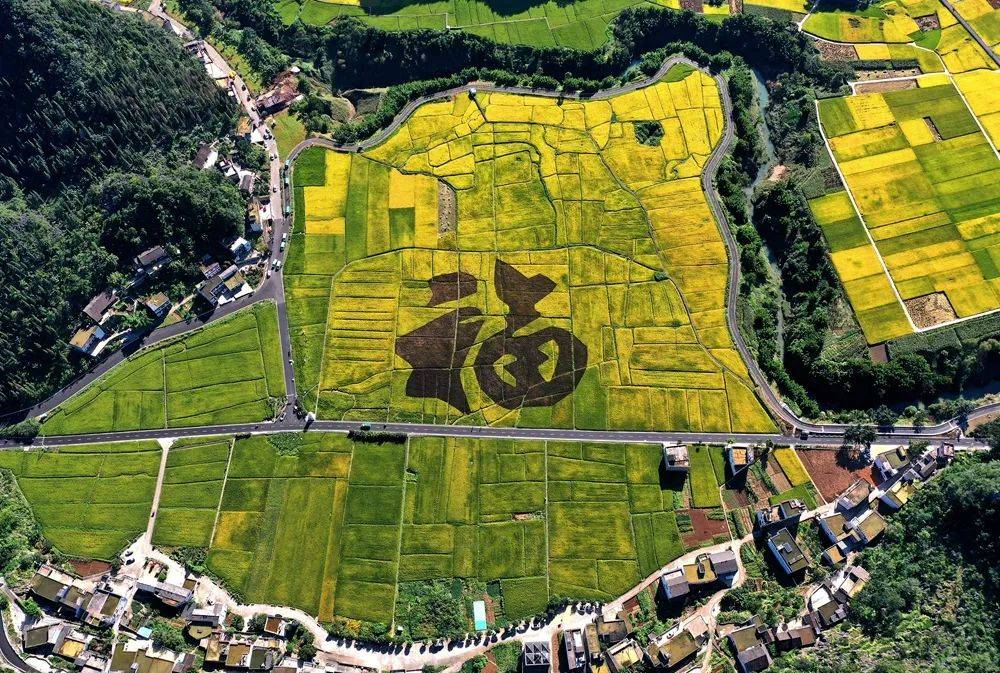 万峰林福字田 张德厚 摄为进一步提升山地旅游的标准化,品牌化,国际化