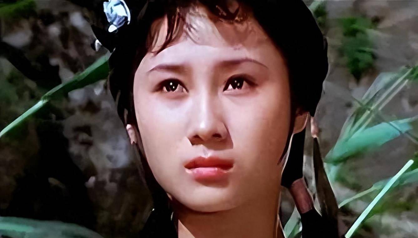 演员丁岚:一辈子不愁吃喝,为何58岁仍孤身一人?_李连杰_生活_爱情