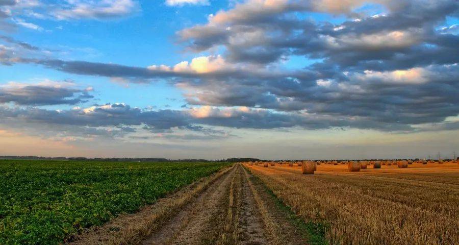 家电下沉市场的最大赢家出现了！-家电圈官网