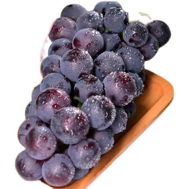 1 休眠期修剪避雨栽培模式下,辽峰葡萄休眠期修剪一般在霜降落叶后