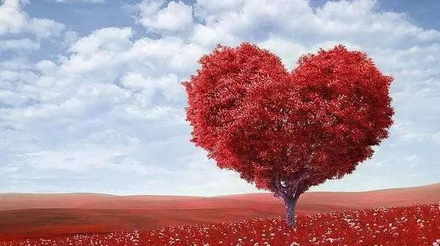 烟火人间各有遗憾,今天比昨天好,这就是希望_生活_挫折_经历