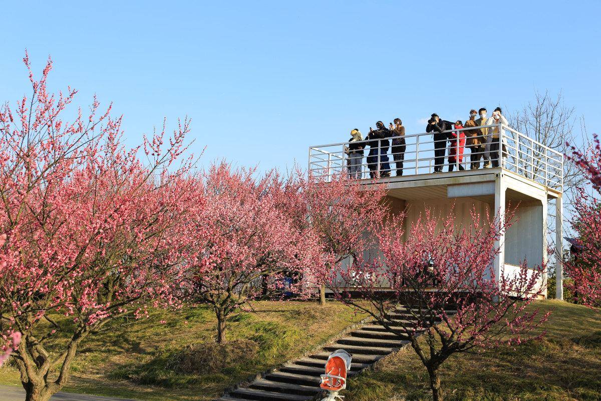 上海金山朱泾花开海上生态园好比世外桃源_花卉_休闲_可以在