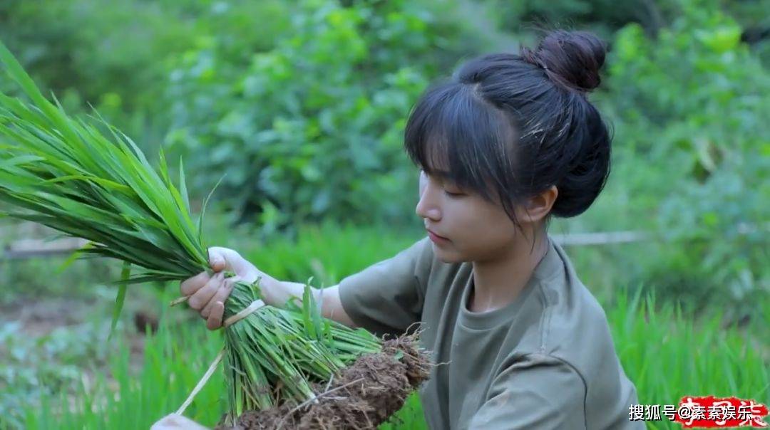 李子柒回归将创作新的内容,用自己的方式讲好农耕文化故事_视频_中国