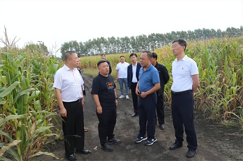 陶家屯镇崔家村,南兴村等地实地走访考察,在大岭镇政府召开了座谈会