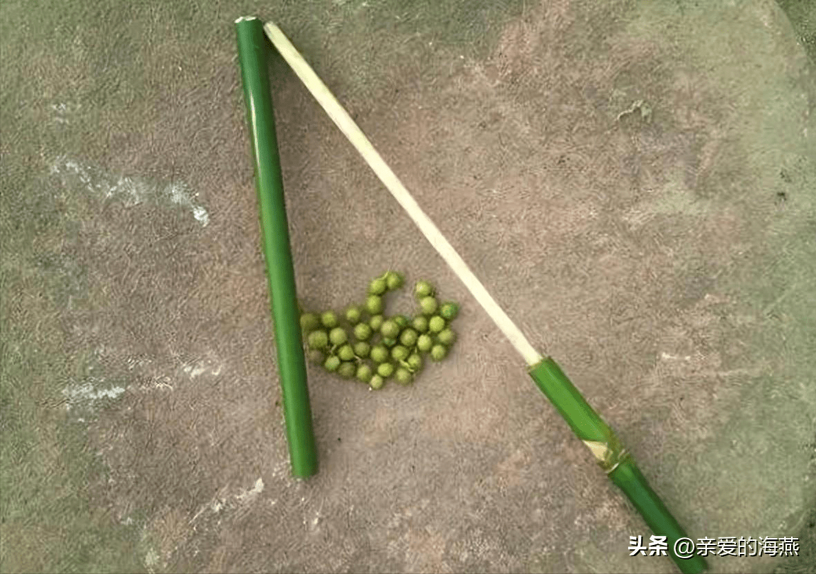 农村孩子自制的32个玩具,玩过8个以上最小都30多岁了_时候_哨子_石子