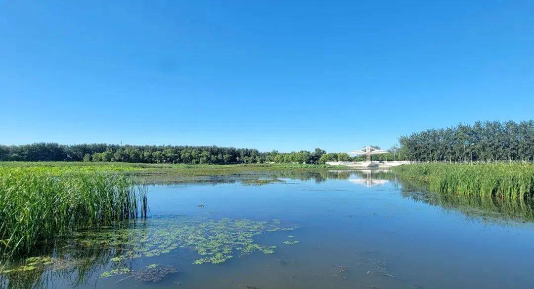 邦顺颐府项目位于中央别墅区后沙峪,罗马湖环岛沿天北路往北约500米