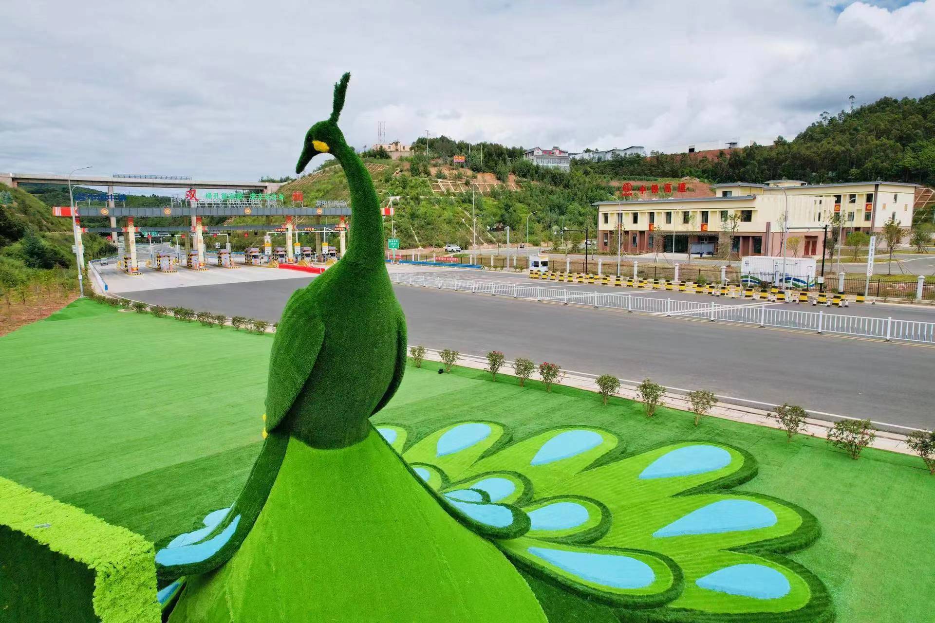 双柏绿孔雀文化季开幕,形象大使杨丽萍现身演出现场_楚雄_双柏县_保护