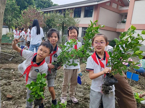 都江堰市聚源小学:让劳动教育为学生的成长赋能_活动_实践_引导