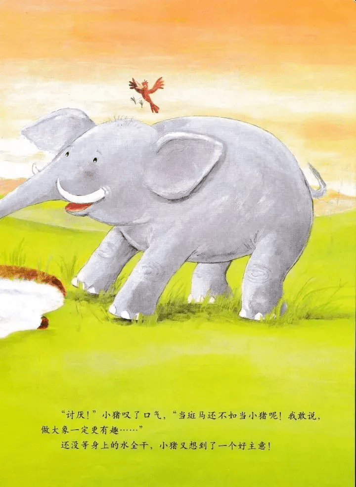 【绘声绘色】第四十一期——《小猪变形记》_故事_新城_中心