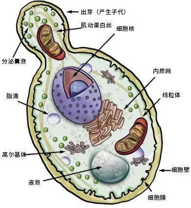 一种干预全都做到