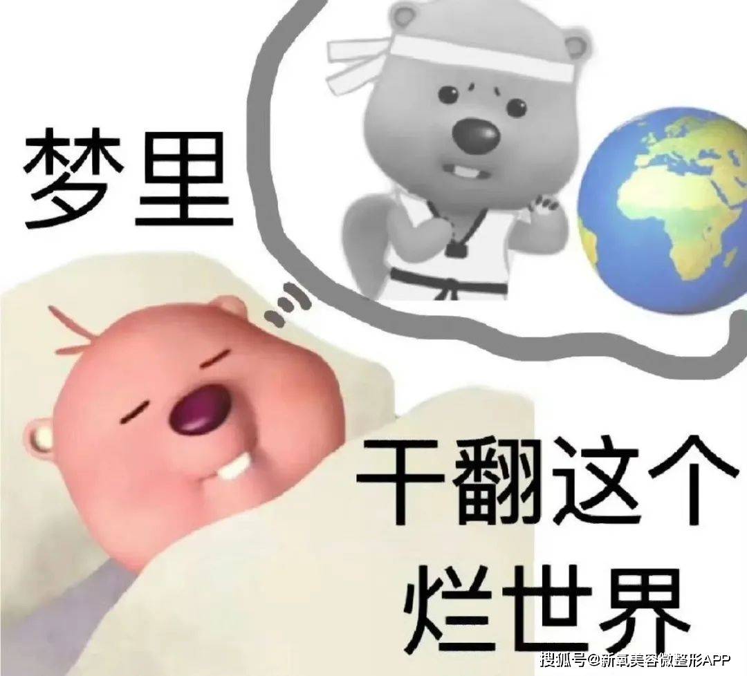 m6米乐体育app截图5