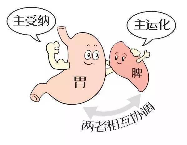 治痛风断根的方子,还对湿热患者效果多多,改善体质,减少痛苦_食物