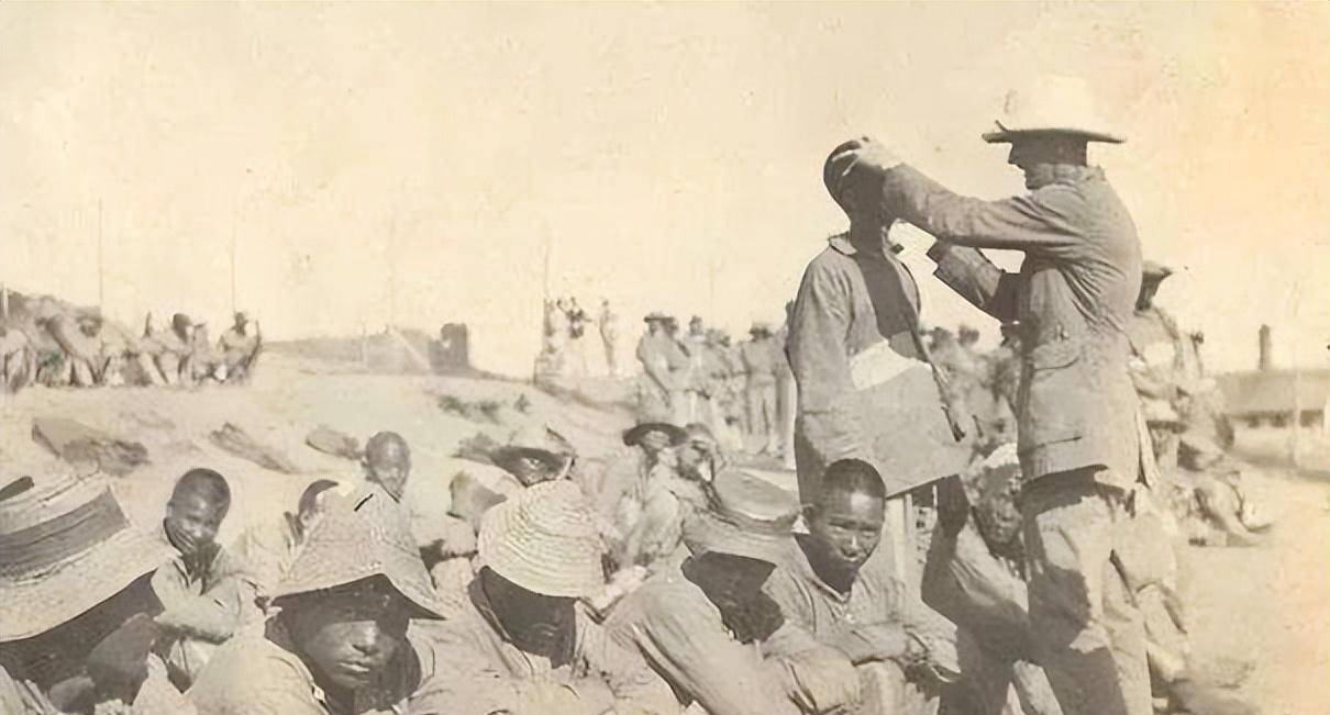 清朝大肆贩卖南洋的"猪花",根本不是食物,而是一群可怜的女人_猪仔