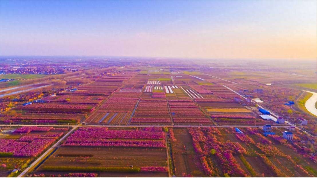 沭阳县桑墟镇:实干笃行担使命 奋楫扬帆谱新篇_发展_加工_产业