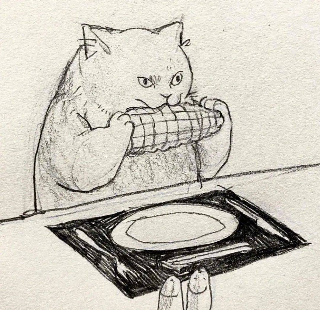 kathy lam:猫咪今天有点颓