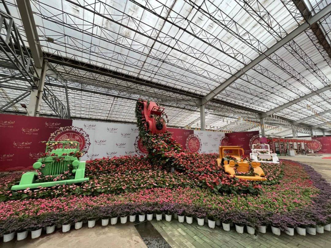 本届花博会遵循"以花为媒,共图发展"的办会理念,旨在促进青州花卉产业