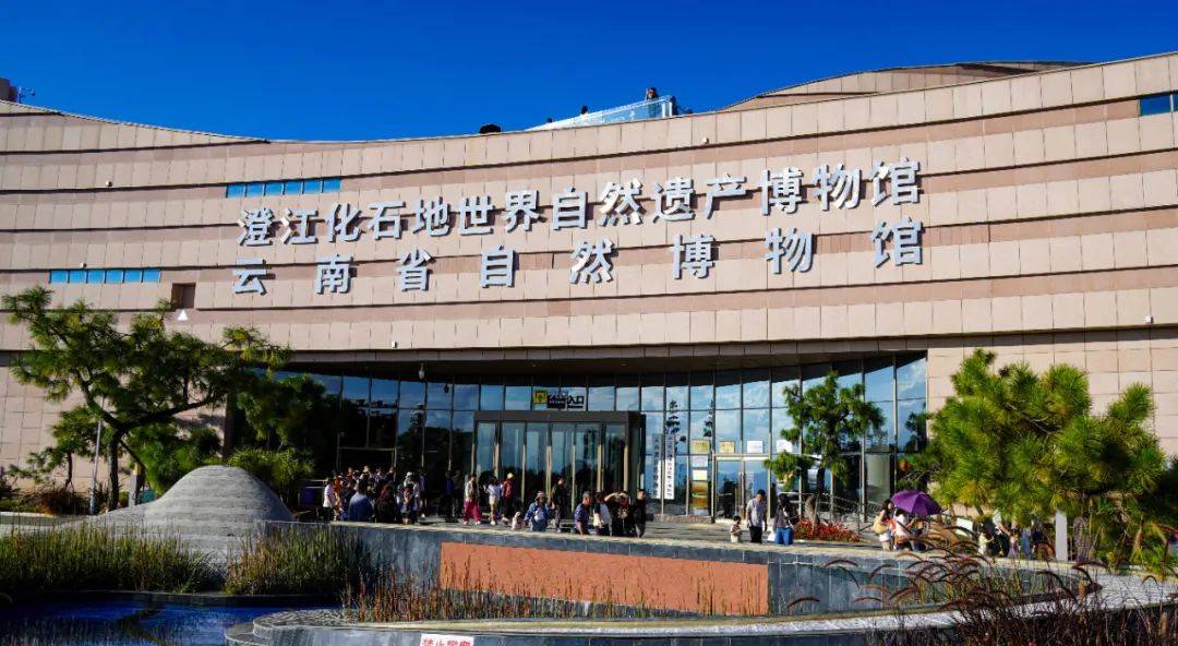 研学游的(云南省自然博物馆)澄江化石地世界自然遗产博物馆国庆节假日