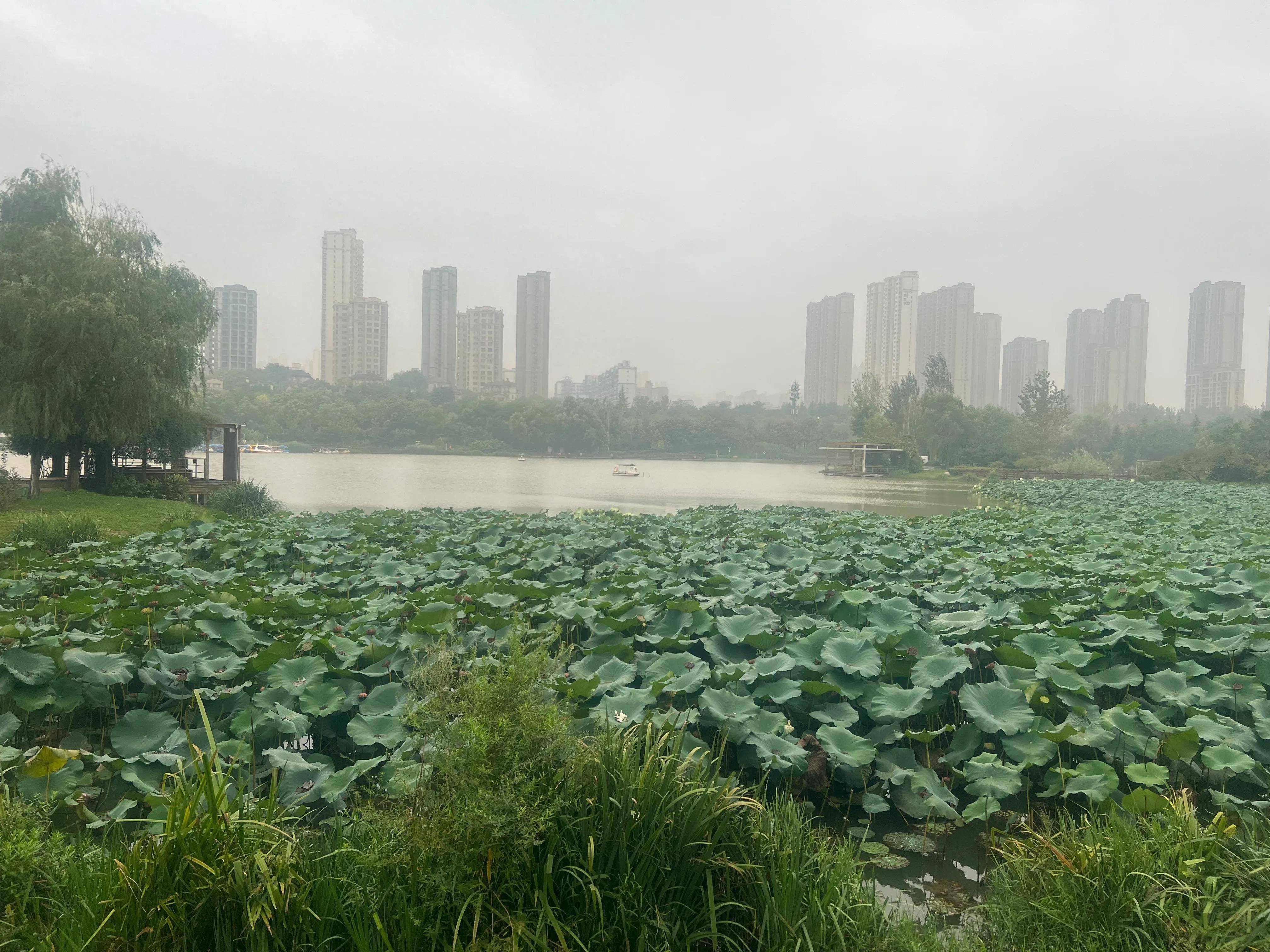 浐灞桃花潭公园图片