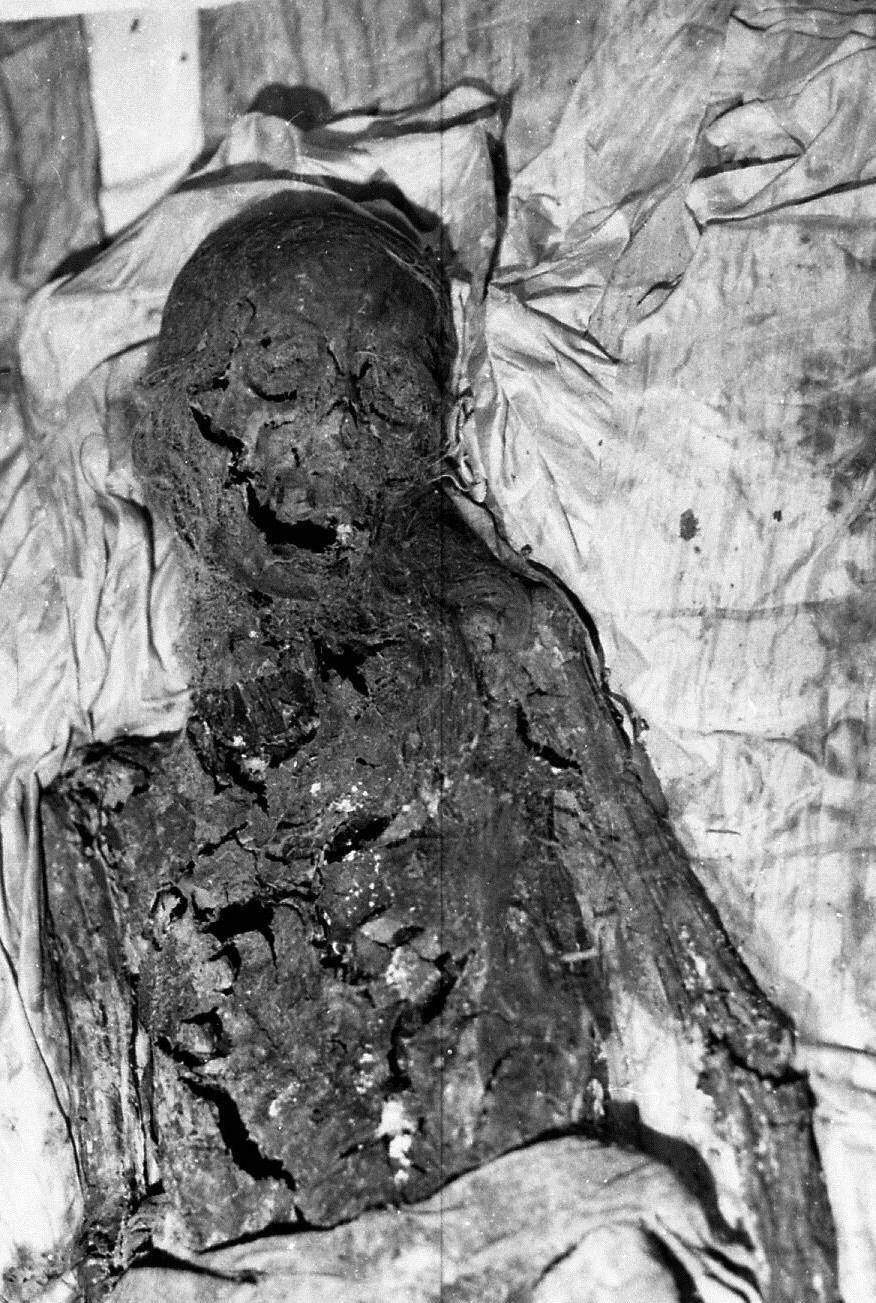 慈禧棺椁内部照片_遗体_定东陵_宝物