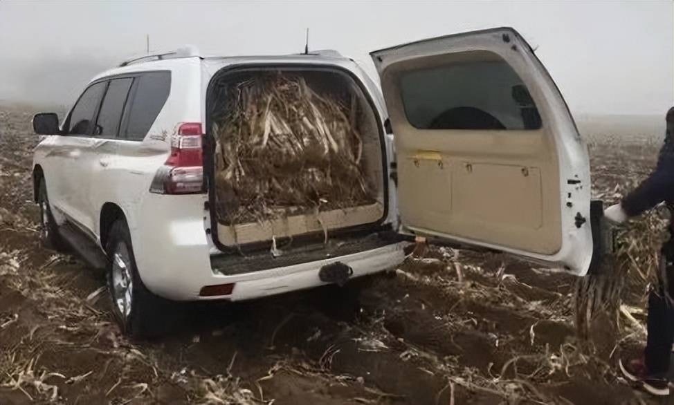 搜狐汽车_搜狐网