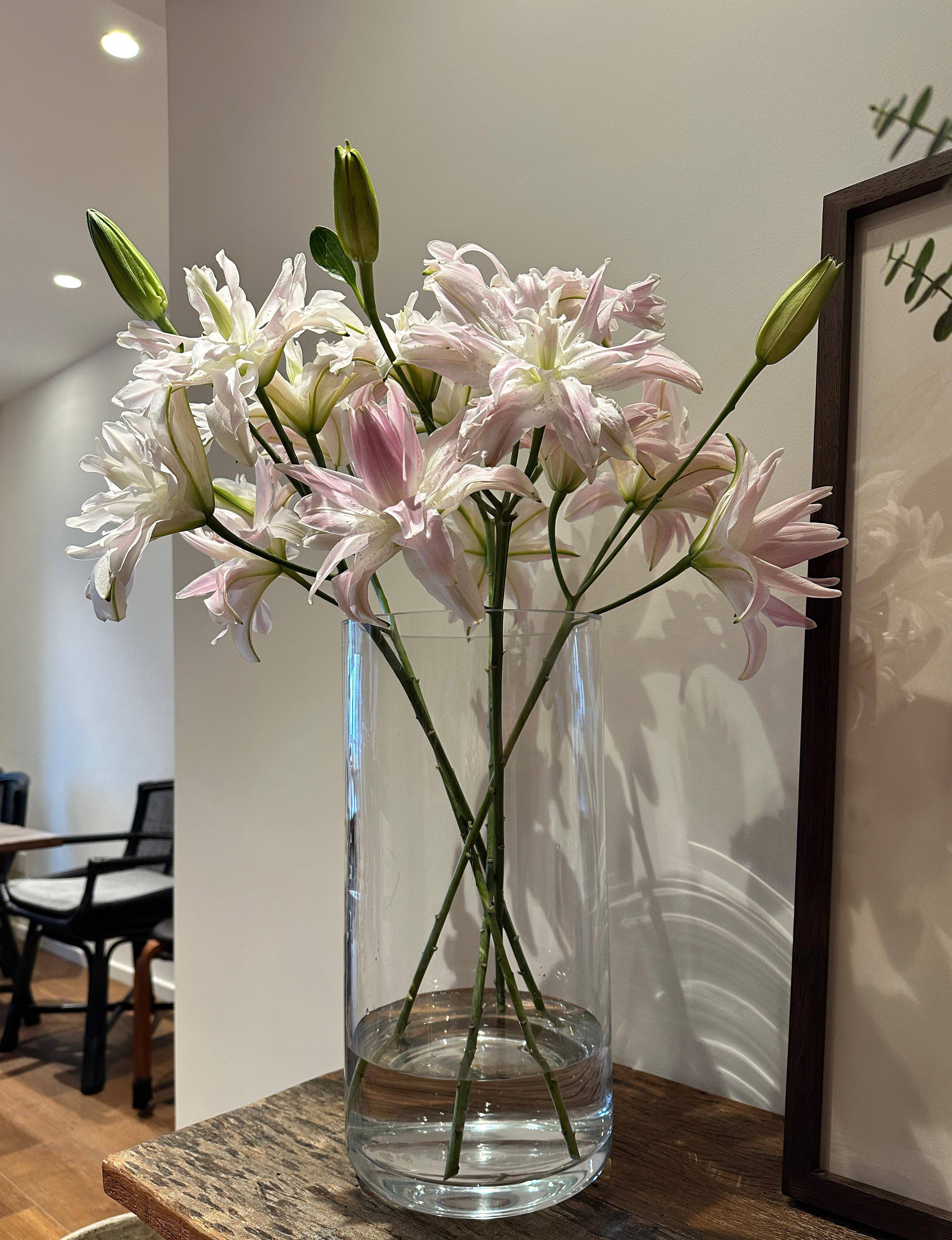 10·8日~10·18日 财神独宠,运势齐聚,旺运旺福旺财的生肖_生活_财富