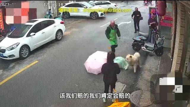 江苏盐城女子路边被宠物狗撕咬,脸部撕裂翻滚在地,双腿颤抖捂脸哀嚎