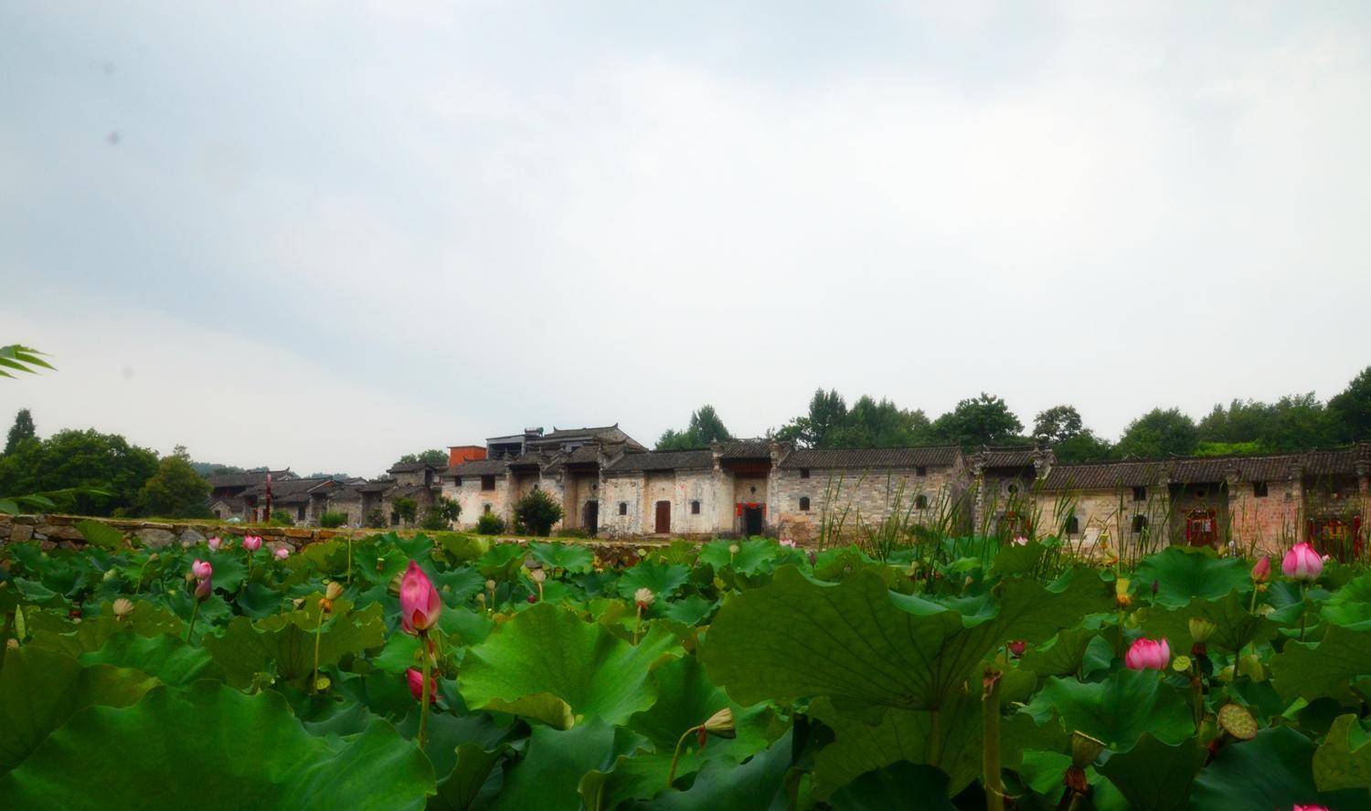 走进河南信阳丁李湾村,这里为何会有保持完好的徽派建筑?